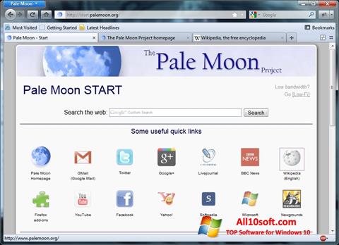 Zrzut ekranu Pale Moon na Windows 10
