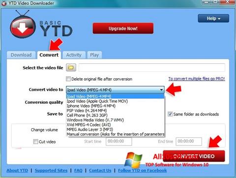 Zrzut ekranu YTD Video Downloader na Windows 10