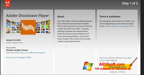 Zrzut ekranu Adobe Shockwave Player na Windows 10