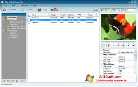 Zrzut ekranu Any Video Converter na Windows 10