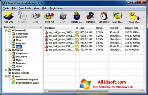 Zrzut ekranu Internet Download Manager na Windows 10