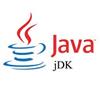 Java SE Development Kit na Windows 10
