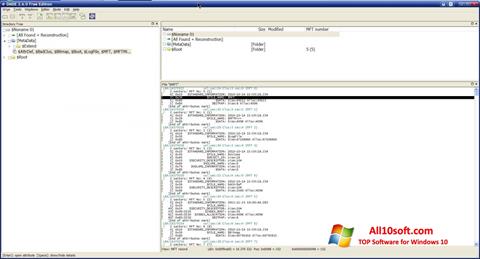Zrzut ekranu DMDE na Windows 10
