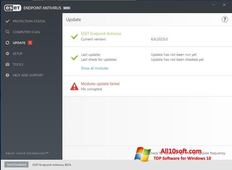 Zrzut ekranu ESET Endpoint Antivirus na Windows 10